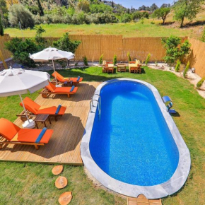 Villa limon
